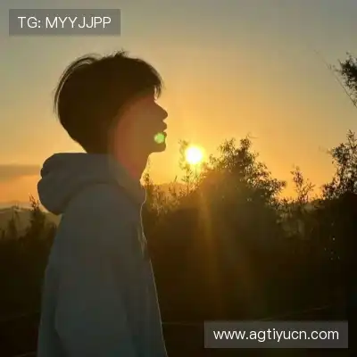 明锦柳